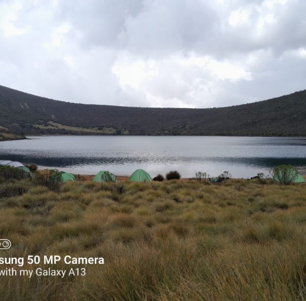 Lake Ellis Campsite