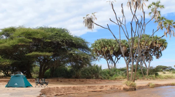 samburu campsite 2