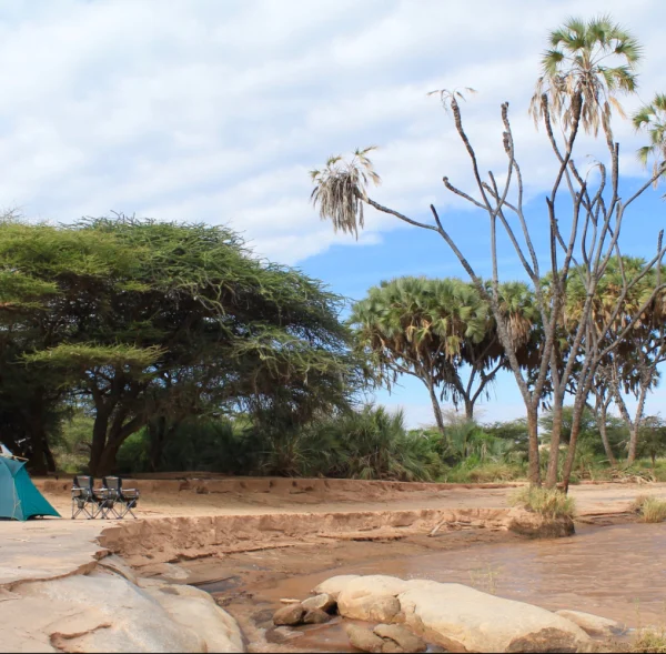 samburu campsite 2